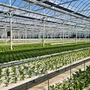 hydroponic indoor grow systems
