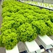 hydroponic indoor grow systems